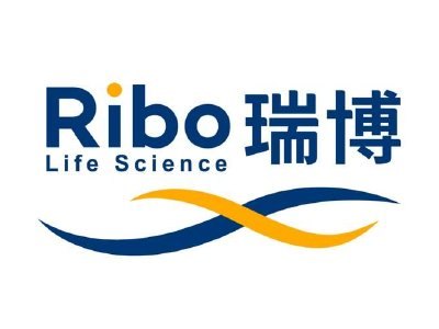 瑞博生物-B午后涨近5% 中邮证券给予“买入”评级